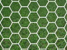 Box Goal Net