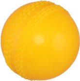 Kiwi Cricket Ball