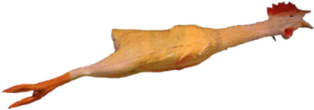 Rubber Chickens